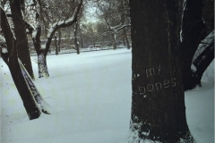 My-Bones-Raw-Novembre-Front-800