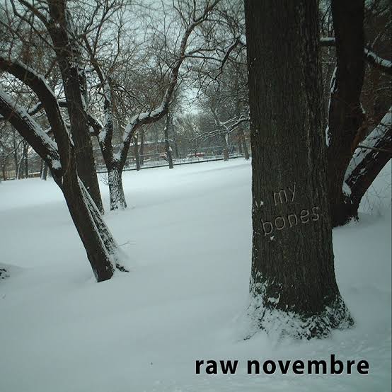 Raw Novembre